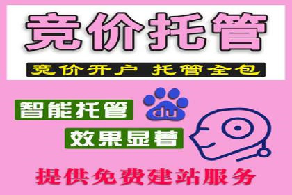 百度推广收费标准揭秘：成功案例分享
